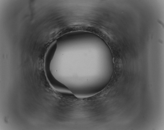 X0000091340965200708311453