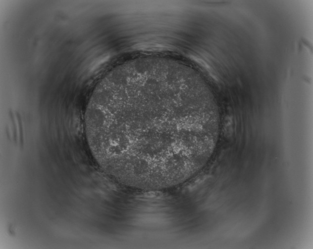 X0000091340966200708311453