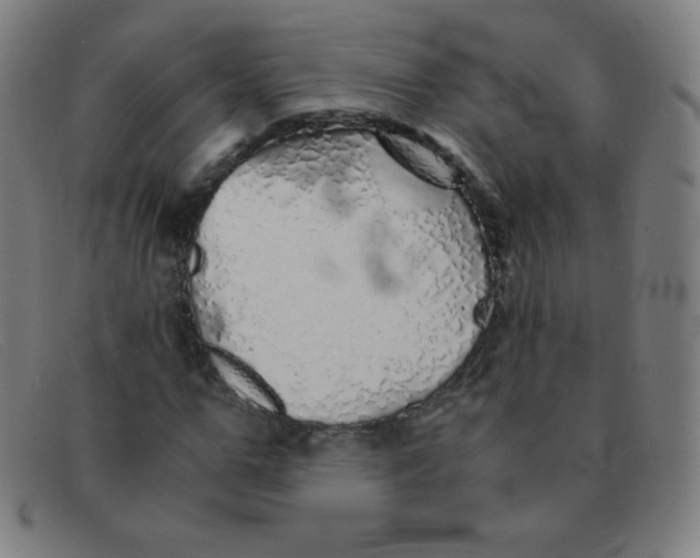 X0000091340967200708311453