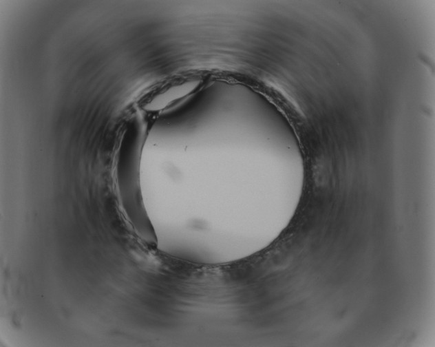 X0000091340968200708311453