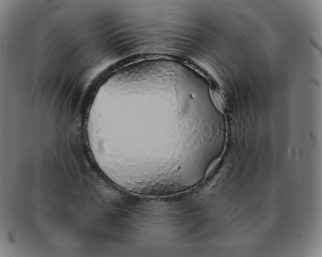 X0000091340971200708311453