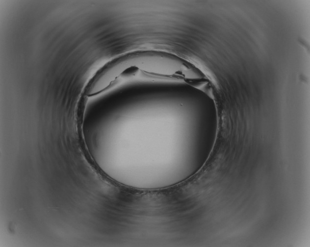 X0000091340972200708311453