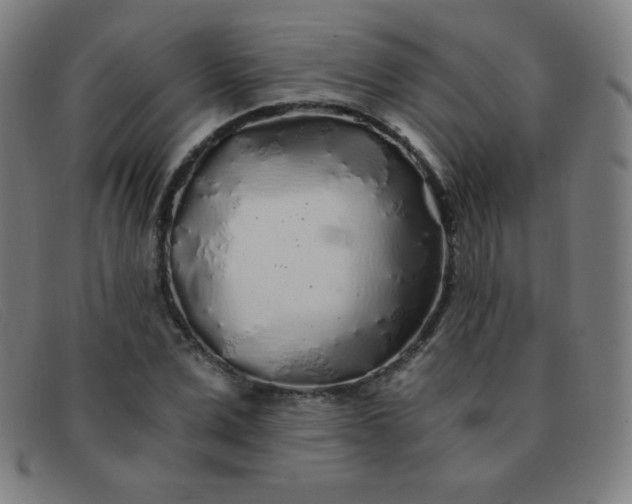 X0000091340975200708311453