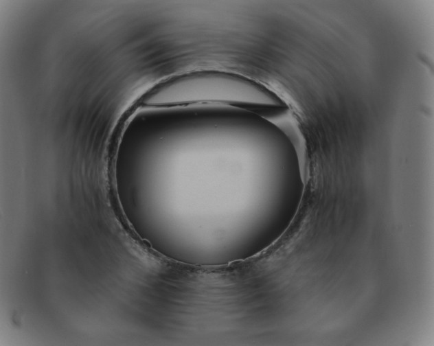 X0000091340976200708311453