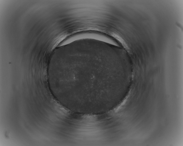 X0000091340977200708311453