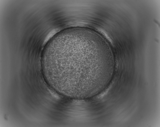 X0000091340978200708311453