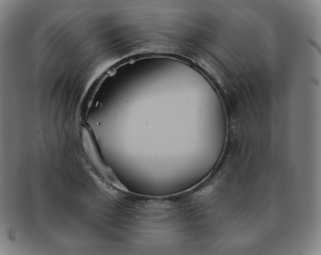 X0000091340981200708311452