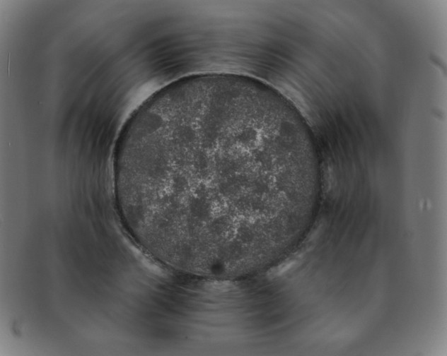 X0000091340982200708311452