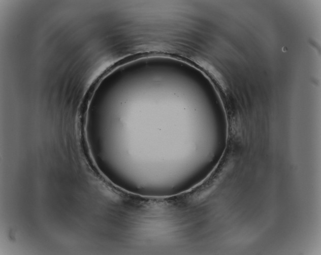 X0000091340983200708311452