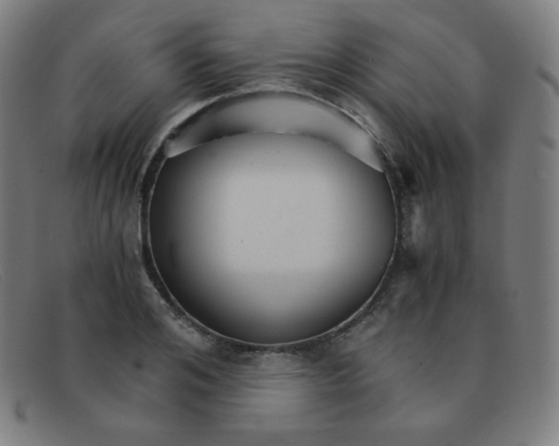 X0000091340984200708311452