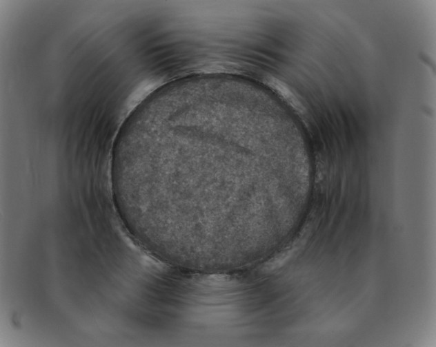 X0000091340986200708311452