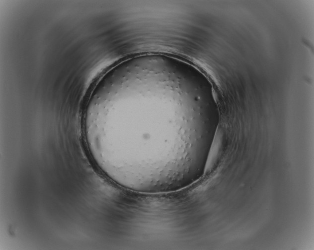 X0000091340987200708311452