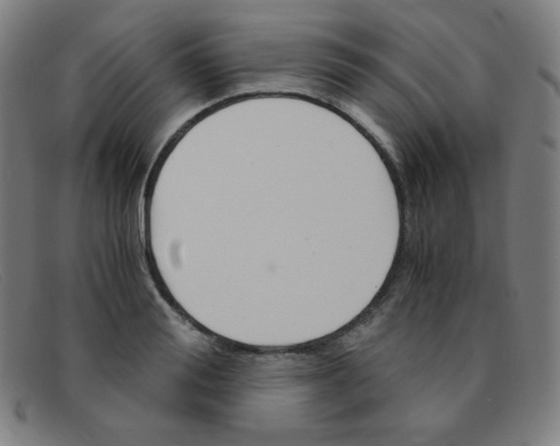 X0000091340988200708311452