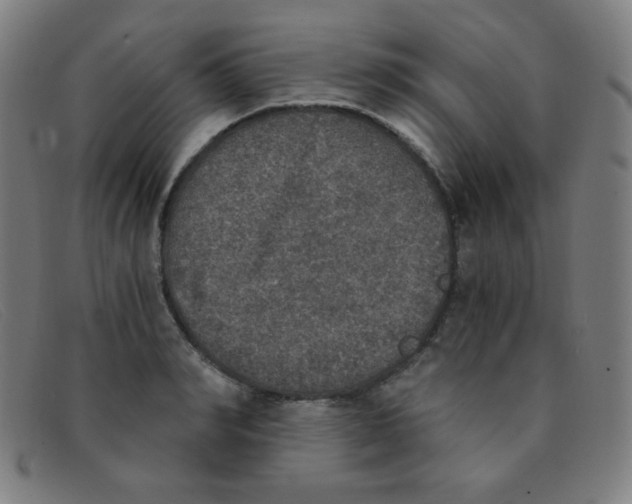 X0000091340990200708311452