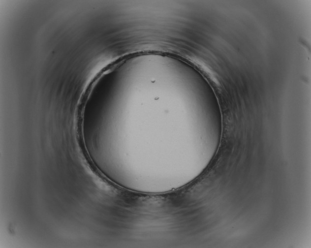 X0000091340991200708311452