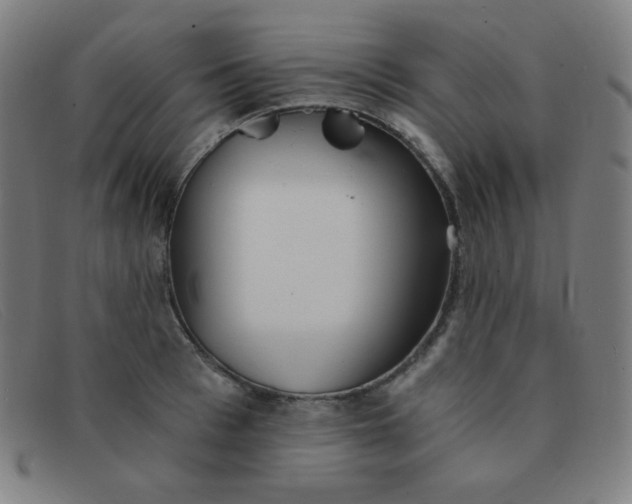 X0000091340993200708311452