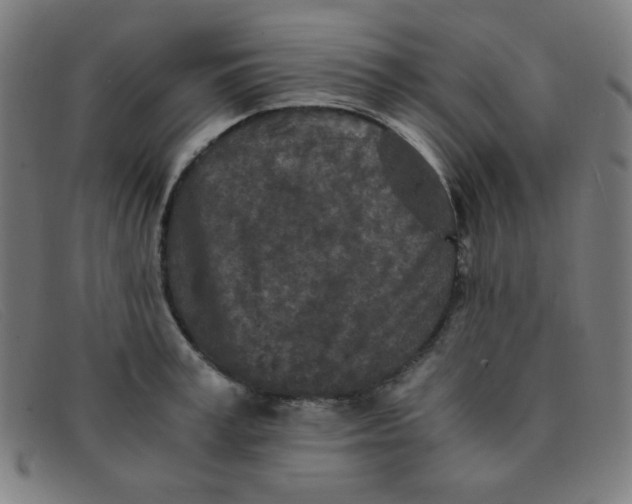 X0000091340995200708311452