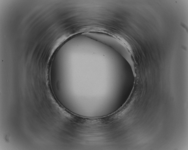 X0000091340997200708311452