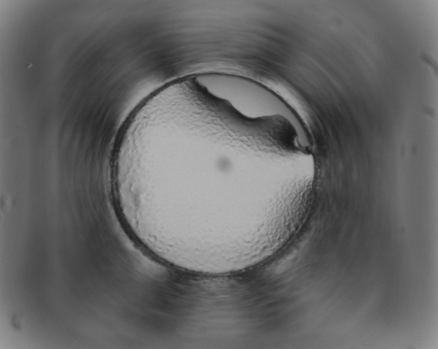 X0000091340999200708311452