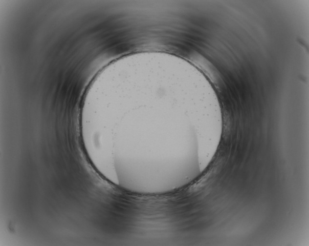 X0000091341000200708311452