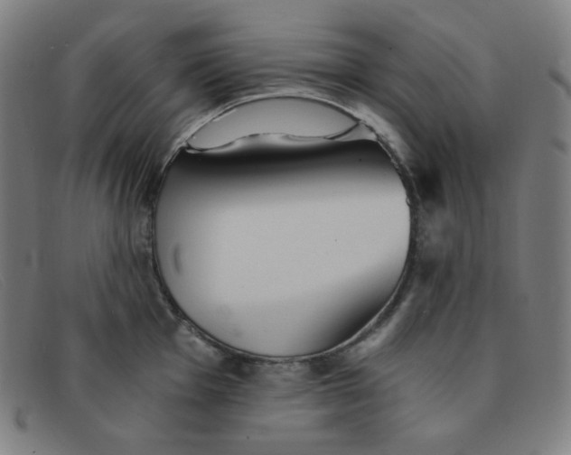 X0000091341001200708311452