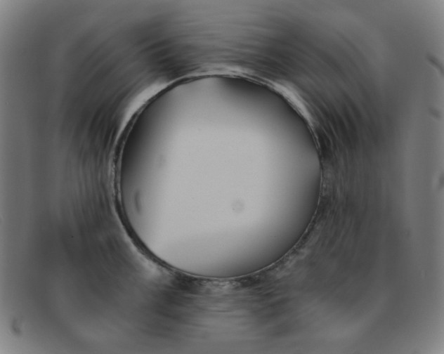 X0000091341003200708311452