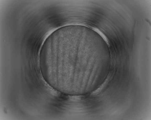 X0000091341004200708311452