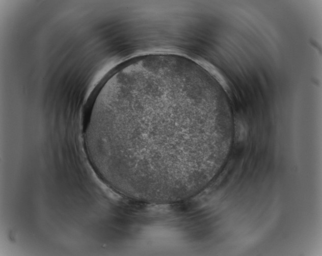 X0000091341006200708311452