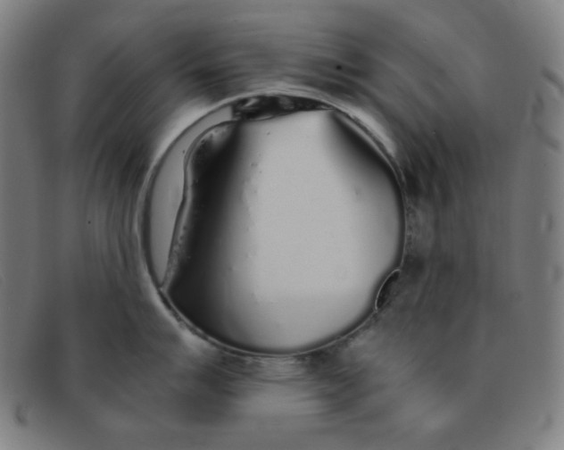 X0000091341007200708311452