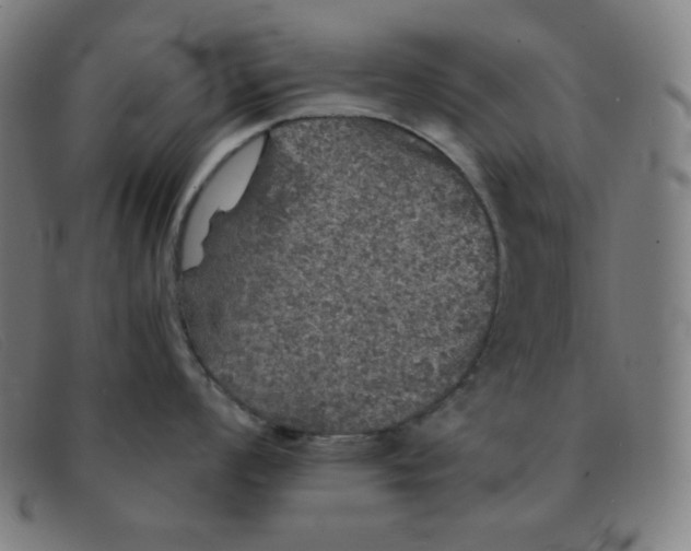 X0000091341008200708311452