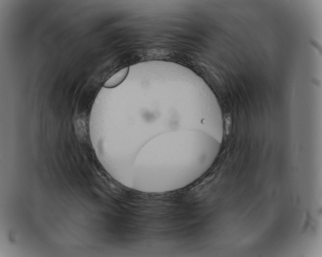 X0000091341011200708311452