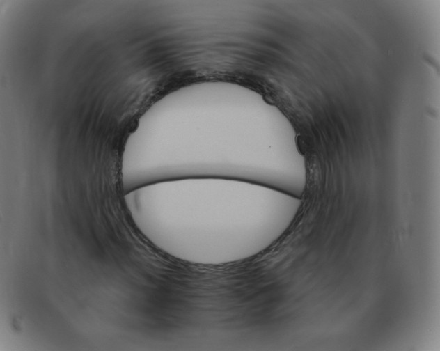 X0000091341012200708311452