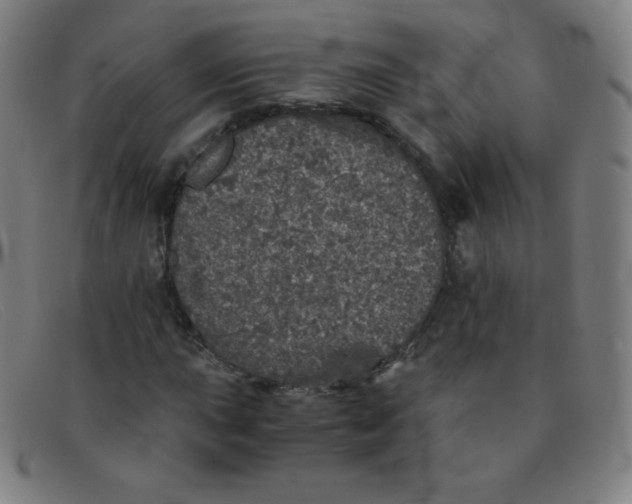 X0000091341015200708311452