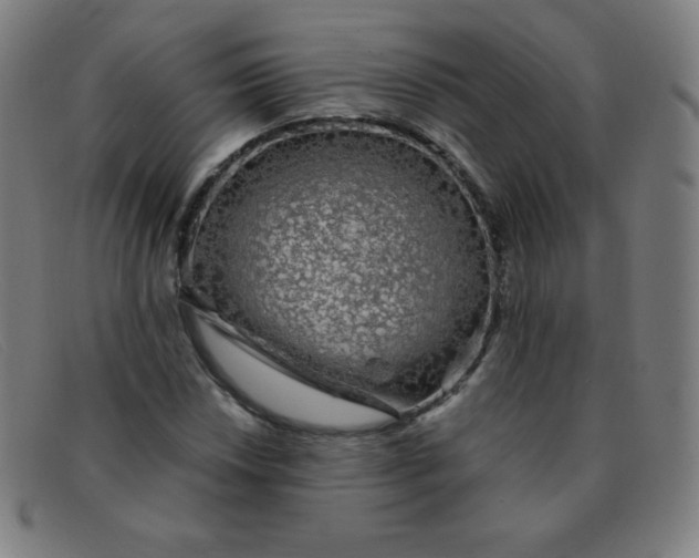 X0000091341018200708311452