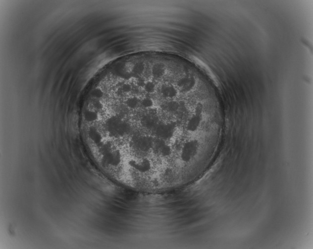 X0000091341019200708311452