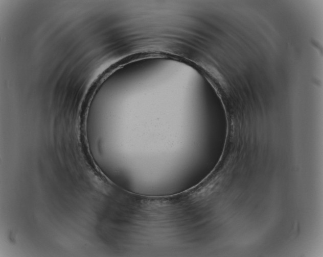 X0000091341020200708311452