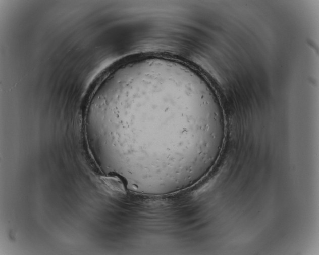 X0000091341021200708311452