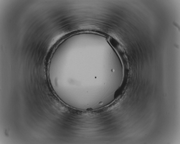 X0000091341022200708311452