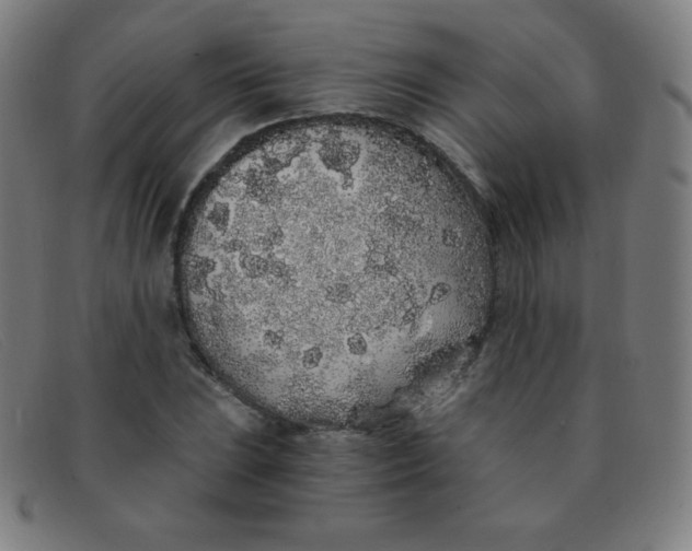 X0000091341023200708311452