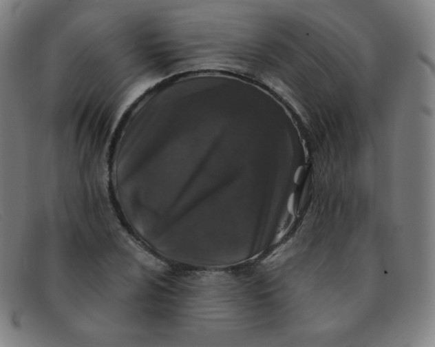 X0000091341024200708311452