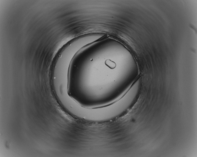 X0000091341026200708311452