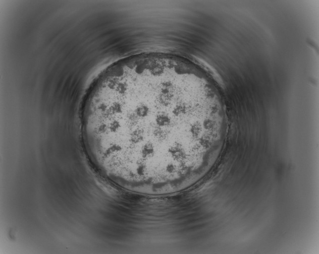 X0000091341027200708311452