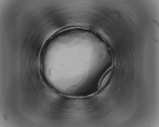 X0000091341028200708311452