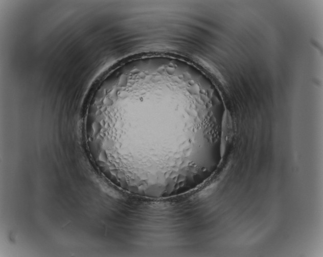 X0000091341029200708311452