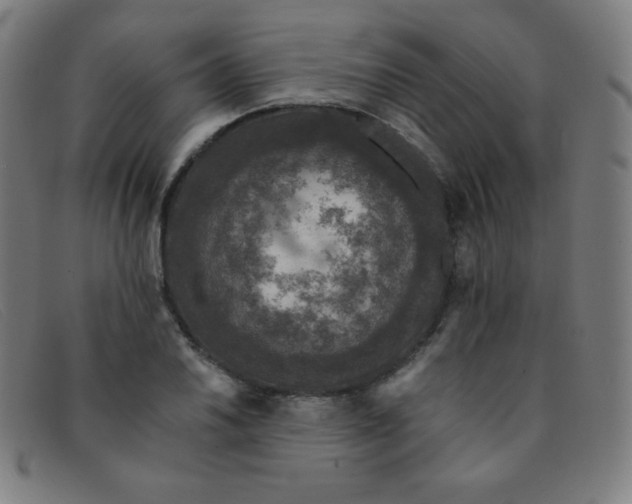 X0000091341030200708311452