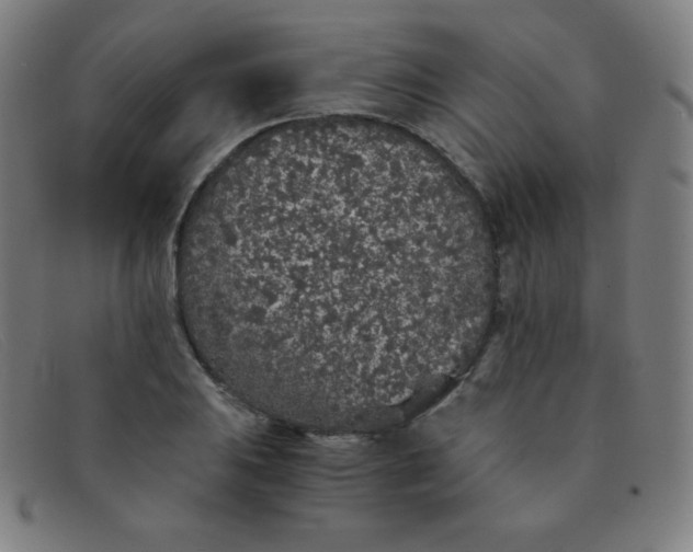 X0000091341031200708311452