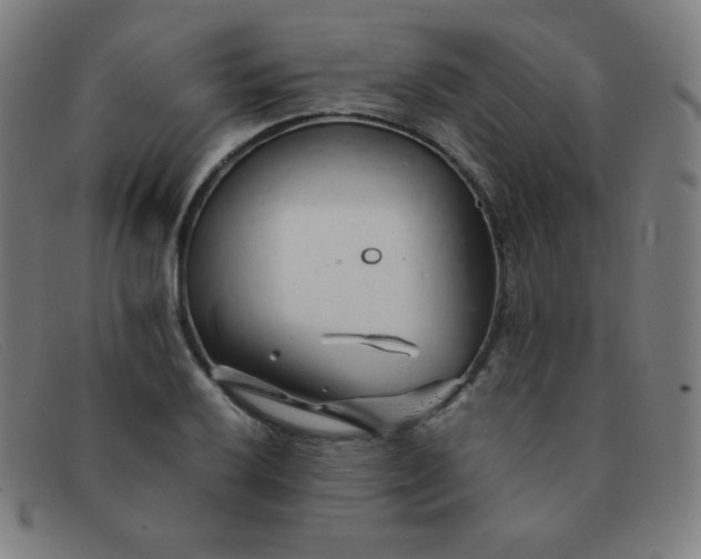 X0000091341032200708311452