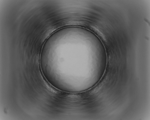 X0000091341033200708311452