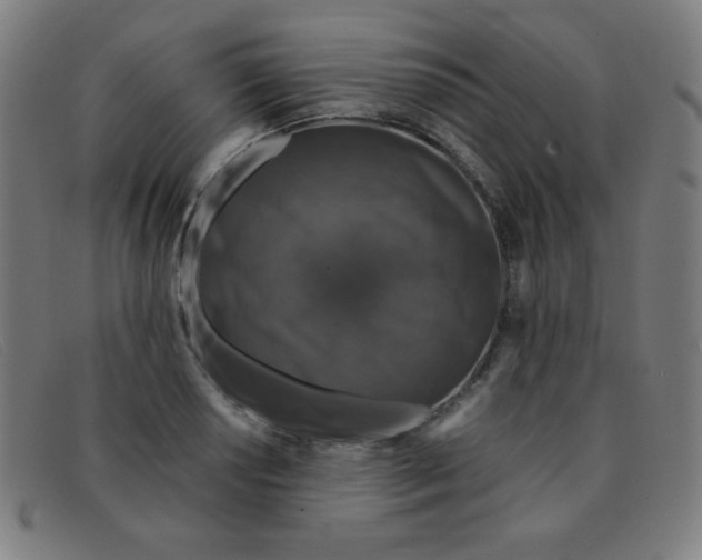 X0000091341034200708311452