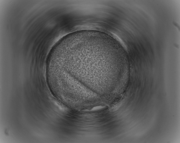 X0000091341035200708311452